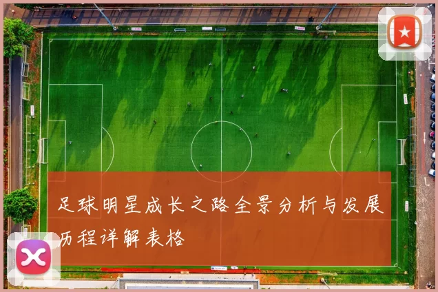 足球明星成长之路全景分析与发展历程详解表格