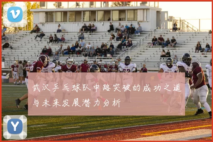 武汉乒乓球队中路突破的成功之道与未来发展潜力分析