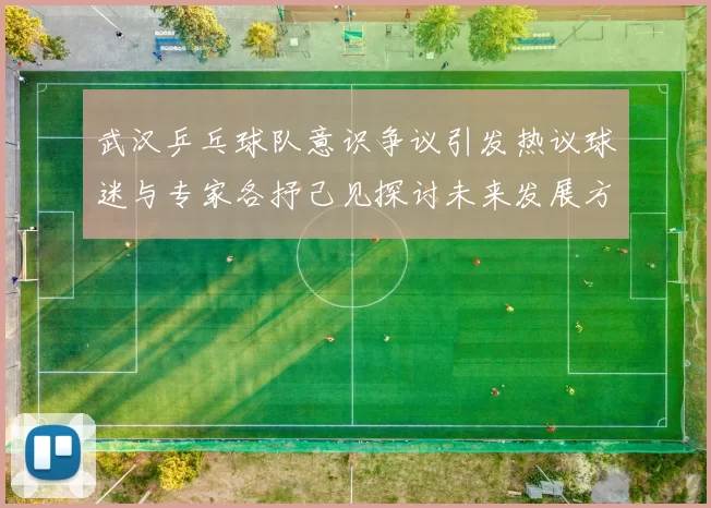 武汉乒乓球队意识争议引发热议球迷与专家各抒己见探讨未来发展方向
