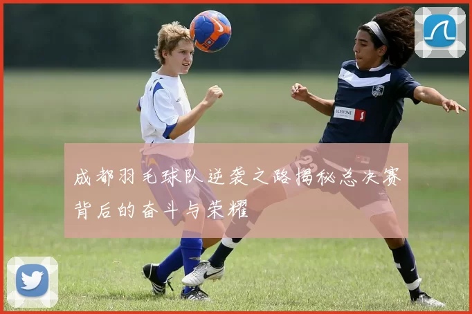 成都羽毛球队逆袭之路揭秘总决赛背后的奋斗与荣耀