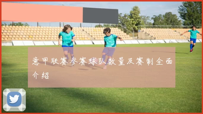 意甲联赛参赛球队数量及赛制全面介绍