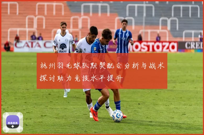 杭州羽毛球队默契配合分析与战术探讨助力竞技水平提升