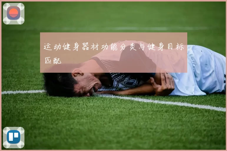 运动健身器材功能分类与健身目标匹配
