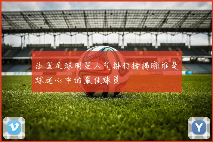 法国足球明星人气排行榜揭晓谁是球迷心中的最佳球员