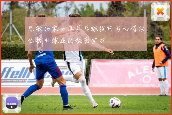 陈敏独家分享乒乓球技巧与心得助你提升球技的秘密宝典
