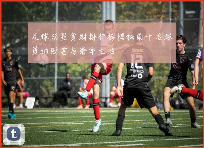 足球明星贪财排行榜揭秘前十名球员的财富与奢华生活