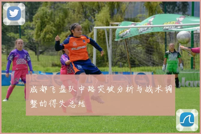 成都飞盘队中路突破分析与战术调整的得失总结