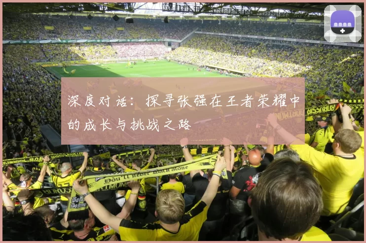 深度对话：探寻张强在王者荣耀中的成长与挑战之路