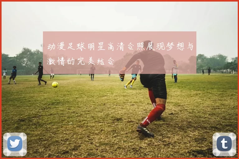 动漫足球明星高清合照展现梦想与激情的完美结合