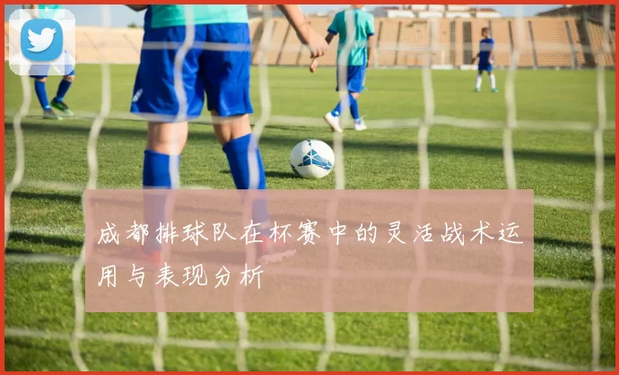 成都排球队在杯赛中的灵活战术运用与表现分析