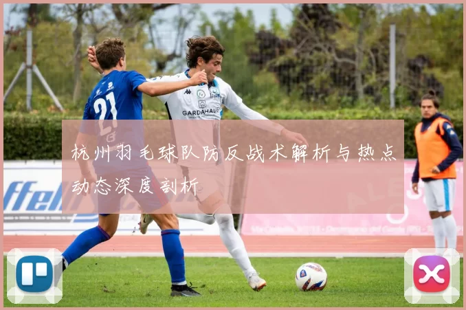 杭州羽毛球队防反战术解析与热点动态深度剖析