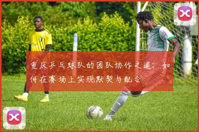 重庆乒乓球队的团队协作之道：如何在赛场上实现默契与配合