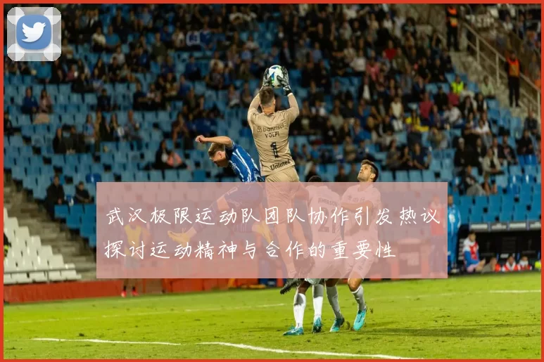 武汉极限运动队团队协作引发热议探讨运动精神与合作的重要性