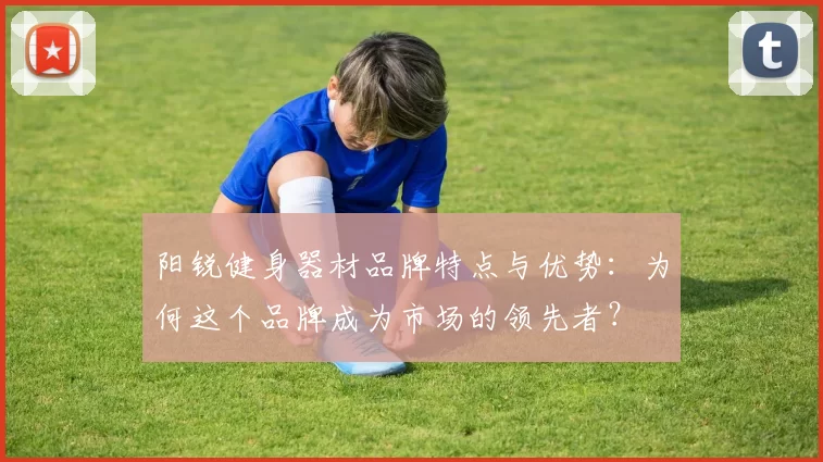 阳锐健身器材品牌特点与优势：为何这个品牌成为市场的领先者？