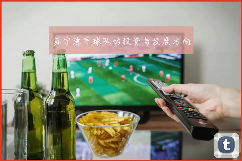 苏宁意甲球队的投资与发展方向