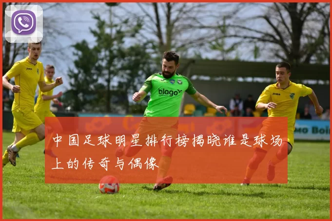 中国足球明星排行榜揭晓谁是球场上的传奇与偶像