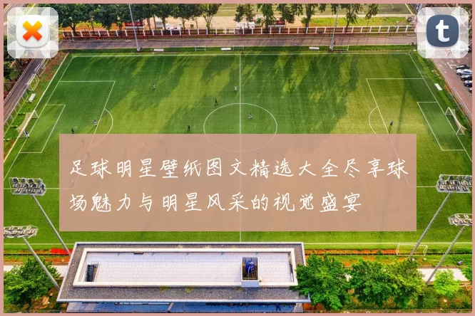 足球明星壁纸图文精选大全尽享球场魅力与明星风采的视觉盛宴