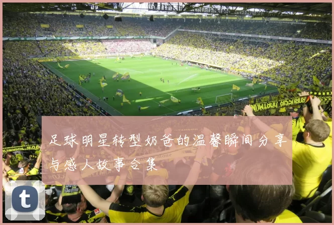足球明星转型奶爸的温馨瞬间分享与感人故事合集