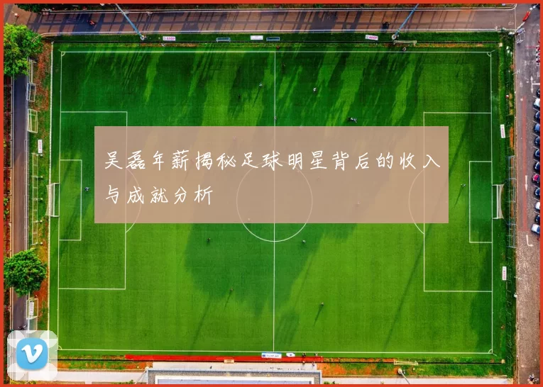 吴磊年薪揭秘足球明星背后的收入与成就分析