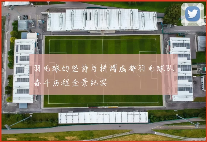 羽毛球的坚持与拼搏成都羽毛球队奋斗历程全景纪实